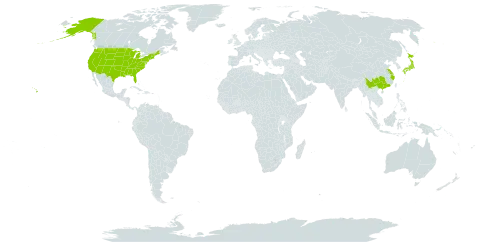 Cladrastis platycarpa world distribution map, present in China, Japan, and United States of America