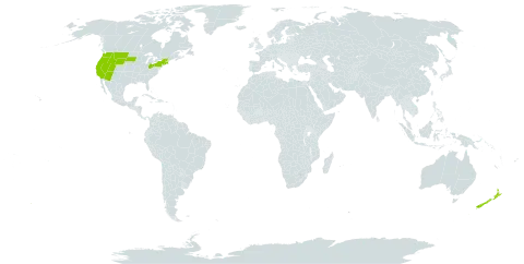 Clarkia world distribution map, present in New Zealand and United States of America