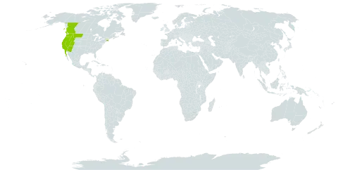 Clarkia rhomboidea world distribution map, present in Canada, Mexico, and United States of America