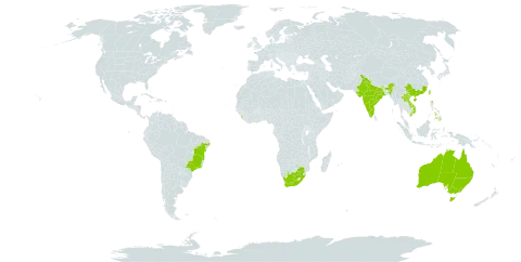 Clausena lansium world distribution map, present in Australia, Brazil, China, India, Lao People's Democratic Republic, Sri Lanka, Mauritius, Philippines, Réunion, Taiwan, Province of China, Viet Nam, and South Africa