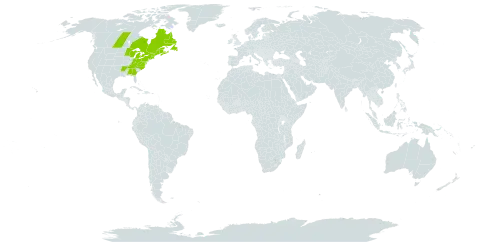 Claytonia caroliniana world distribution map, present in Canada, France, Saint Pierre and Miquelon, and United States of America