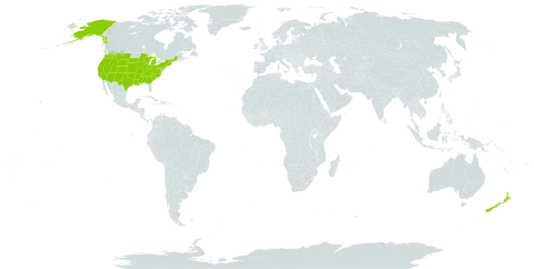 Claytonia world distribution map, present in New Zealand and United States of America