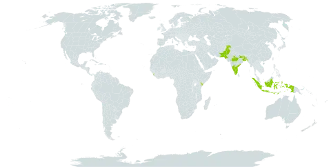 Cleistanthus collinus world distribution map, present in Bangladesh, Indonesia, India, Kenya, Sri Lanka, and Pakistan