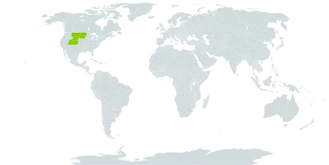 Clematis columbiana var. tenuiloba world distribution map, present in United States of America