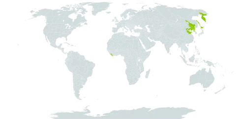 Clematis fusca world distribution map, present in China, Japan, Liberia, Korea (Democratic People's Republic of), and Russian Federation