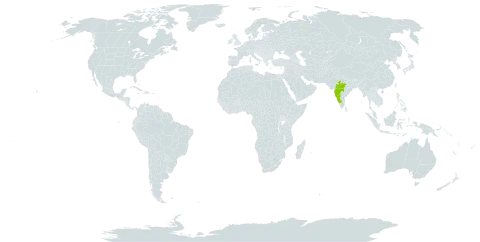 Clematis heynei world distribution map, present in India