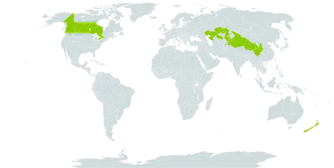 Clematis tangutica world distribution map, present in Canada, China, India, Kazakhstan, Kyrgyzstan, Sri Lanka, Nepal, New Zealand, and Tajikistan