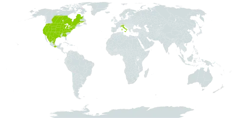 Cleome dodecandra world distribution map, present in Canada, Italy, Mexico, and United States of America