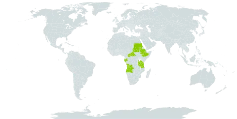 Clerodendrum poggei world distribution map, present in Angola, Burkina Faso, Central African Republic, Ethiopia, Gabon, Sudan, Tanzania, United Republic of, and Uganda