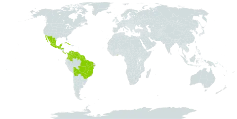 Clitoria guianensis world distribution map, present in American Samoa, Bonaire, Sint Eustatius and Saba, Belize, Bolivia (Plurinational State of), Brazil, Colombia, Costa Rica, Cuba, Ghana, Guatemala, French Guiana, Guyana, Honduras, Mexico, Panama, Singapore, Suriname, United States of America, and Venezuela (Bolivarian Republic of)