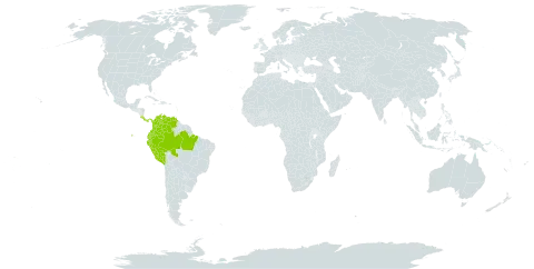 Clitoria javitensis world distribution map, present in American Samoa, Brazil, Colombia, Costa Rica, Ecuador, Martinique, Panama, Peru, and Venezuela (Bolivarian Republic of)