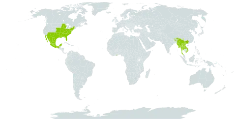 Clitoria mariana world distribution map, present in Bhutan, China, Ghana, India, Lao People's Democratic Republic, Mexico, Myanmar, Thailand, United States of America, and Viet Nam