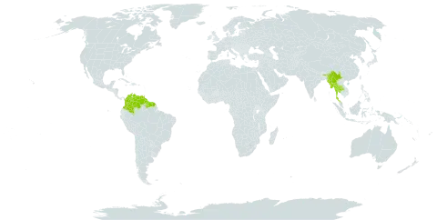 Clitoria mariana var. orientalis world distribution map, present in Bonaire, Sint Eustatius and Saba, China, Colombia, French Guiana, Guyana, India, Myanmar, Suriname, Thailand, Trinidad and Tobago, and Venezuela (Bolivarian Republic of)