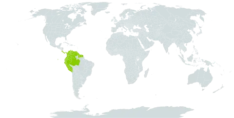 Clitoria sagotii world distribution map, present in American Samoa, Brazil, Colombia, Costa Rica, Ecuador, French Guiana, Guyana, Martinique, Panama, Peru, Suriname, and Venezuela (Bolivarian Republic of)