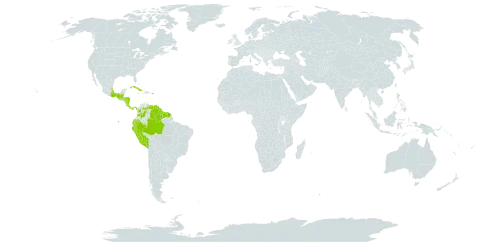 Clusia minor world distribution map, present in Belize, Brazil, Colombia, Costa Rica, Cuba, Ecuador, Guatemala, French Guiana, Guyana, Honduras, Mexico, Nicaragua, Panama, Peru, Puerto Rico, Suriname, Trinidad and Tobago, Saint Vincent and the Grenadines, and Venezuela (Bolivarian Republic of)