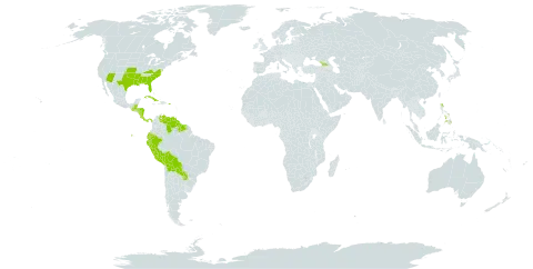 Cnidoscolus world distribution map, present in Aruba, Åland Islands, Belize, Bolivia (Plurinational State of), Costa Rica, Cuba, Dominica, Ecuador, Georgia, Guatemala, Guyana, Honduras, Nicaragua, Panama, Peru, Philippines, Puerto Rico, Paraguay, Suriname, United States of America, and Venezuela (Bolivarian Republic of)