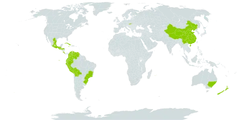 Cobaea scandens world distribution map, present in Australia, Bolivia (Plurinational State of), Brazil, China, Colombia, Costa Rica, Cuba, Ecuador, Guatemala, Honduras, Jamaica, Sri Lanka, Mexico, Mauritius, New Zealand, Peru, Réunion, Slovakia, and Venezuela (Bolivarian Republic of)