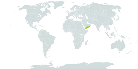 Cocculus balfourii world distribution map, present in Oman and Yemen