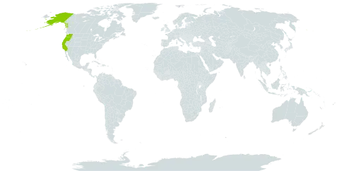 Cochlearia world distribution map, present in United States of America