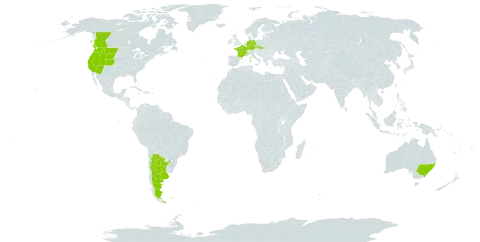 Collomia grandiflora world distribution map, present in Argentina, Australia, Canada, Czech Republic, Germany, France, Slovakia, and United States of America