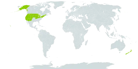 Collomia world distribution map, present in New Zealand and United States of America