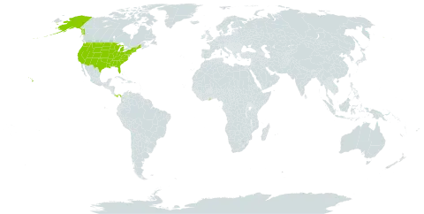 Cologania biloba world distribution map, present in Ghana, Panama, and United States of America