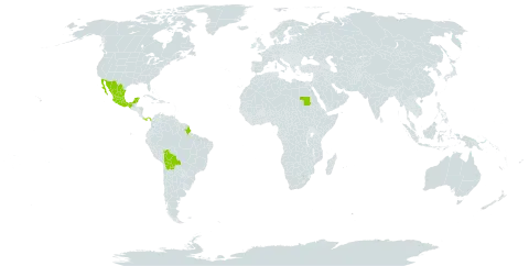 Columnea world distribution map, present in Bonaire, Sint Eustatius and Saba, Bolivia (Plurinational State of), Brazil, Mexico, Panama, and Sudan