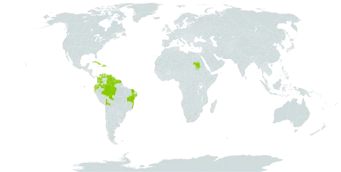 Columnea sanguinea world distribution map, present in Bolivia (Plurinational State of), Brazil, Colombia, Cuba, Dominican Republic, Ecuador, French Guiana, Guyana, Haiti, Sudan, Suriname, Trinidad and Tobago, and Venezuela (Bolivarian Republic of)