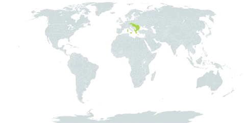 Colutea arborescens subsp. arborescens world distribution map, present in Albania, Bulgaria, Czech Republic, France, Greece, Hungary, Italy, Romania, and Slovakia