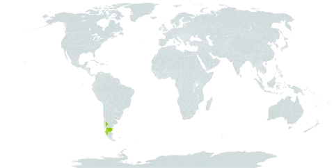 Combera paradoxa world distribution map, present in Argentina, Chile, and Uruguay