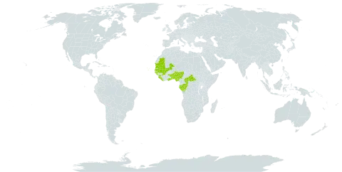 Commelina congesta world distribution map, present in Benin, Central African Republic, Congo, Cabo Verde, Gabon, Ghana, Guinea, Guinea-Bissau, Liberia, Mali, Mauritania, Nigeria, Senegal, Sierra Leone, Togo, and Uganda