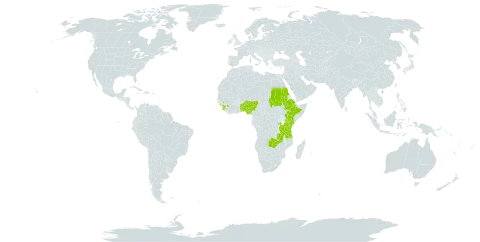 Commelina schweinfurthii subsp. schweinfurthii world distribution map, present in Benin, Burkina Faso, Ethiopia, Guinea, Kenya, Nigeria, Rwanda, Sudan, Sierra Leone, Togo, Tanzania, United Republic of, Uganda, and Zambia