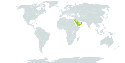 Commelina ussilensis world distribution map, present in Oman, Saudi Arabia, and Yemen