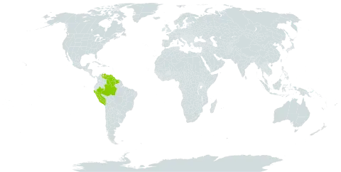 Conceveiba terminalis world distribution map, present in Brazil, Guyana, Peru, Suriname, and Venezuela (Bolivarian Republic of)