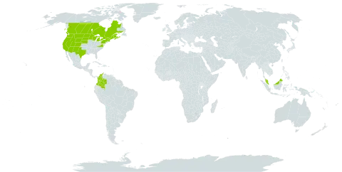 Corallorhiza maculata var. occidentalis world distribution map, present in Canada, Colombia, Micronesia (Federated States of), Malaysia, and United States of America