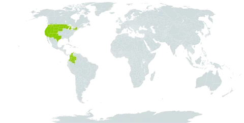 Corallorhiza striata world distribution map, present in Colombia, Micronesia (Federated States of), and United States of America