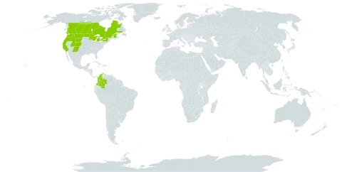 Corallorhiza striata var. striata world distribution map, present in Canada, Colombia, Micronesia (Federated States of), and United States of America