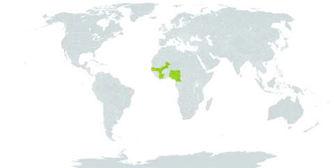 Cordyla pinnata world distribution map, present in Côte d'Ivoire, Cameroon, Gambia, Mali, Nigeria, and Senegal