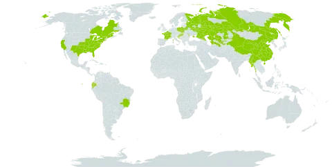 Coreopsis grandiflora world distribution map, present in Belarus, Brazil, Canada, China, Ecuador, France, United Kingdom of Great Britain and Northern Ireland, Croatia, Hungary, Kazakhstan, Moldova (Republic of), Myanmar, Poland, Russian Federation, Tajikistan, Turkmenistan, Trinidad and Tobago, Ukraine, United States of America, and Uzbekistan