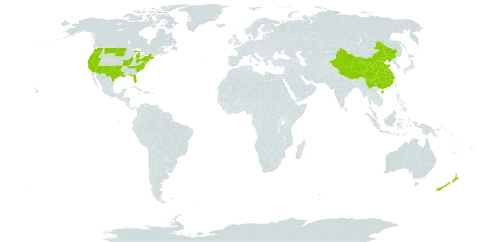 Coriandrum world distribution map, present in China, New Zealand, and United States of America