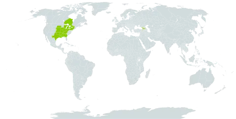 Cornus drummondii world distribution map, present in Åland Islands, Canada, Micronesia (Federated States of), Georgia, and United States of America