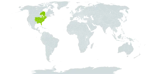 Corydalis flavula world distribution map, present in Canada and United States of America