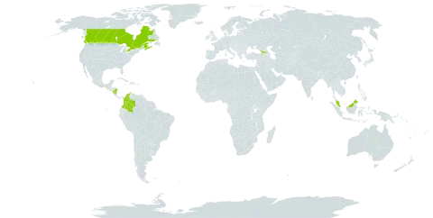 Corylus cornuta subsp. cornuta world distribution map, present in Åland Islands, Canada, Colombia, France, Micronesia (Federated States of), Georgia, Malaysia, and Nicaragua