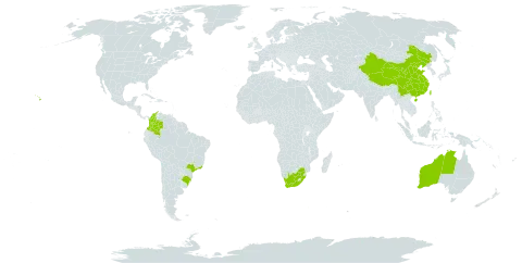 Corymbia ficifolia world distribution map, present in Australia, Brazil, China, Colombia, Spain, Gibraltar, Taiwan, Province of China, United States of America, and South Africa