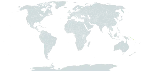 Coryphopteris pubirachis var. major world distribution map, present in Papua New Guinea and Solomon Islands