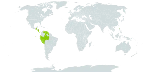 Costus guanaiensis var. macrostrobilus world distribution map, present in Belize, Brazil, Costa Rica, Ecuador, Guatemala, Guyana, Nicaragua, Panama, Peru, Puerto Rico, and Venezuela (Bolivarian Republic of)