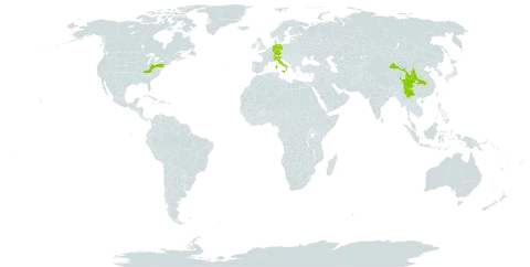 Cotoneaster apiculatus world distribution map, present in Switzerland, China, Germany, Italy, and United States of America