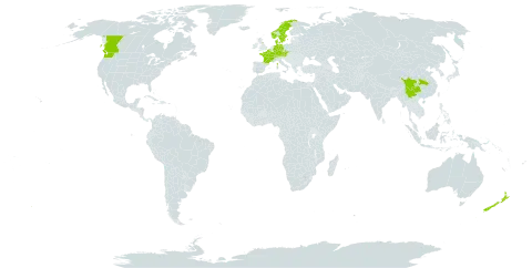 Cotoneaster bullatus world distribution map, present in Austria, Belgium, Canada, Switzerland, China, Czech Republic, Germany, Denmark, France, United Kingdom of Great Britain and Northern Ireland, Norway, New Zealand, Sweden, and United States of America