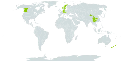 Cotoneaster dammeri world distribution map, present in Austria, Canada, Switzerland, China, Germany, Norway, New Zealand, Slovakia, and Sweden