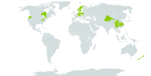 Cotoneaster divaricatus world distribution map, present in Austria, Canada, Switzerland, China, Germany, Denmark, Estonia, Norway, New Zealand, Poland, Sweden, and United States of America